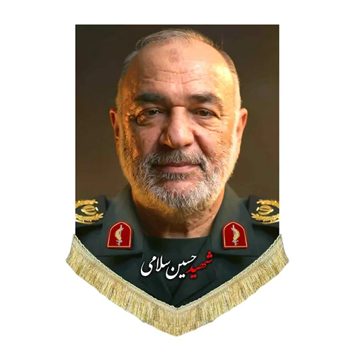 کتیبه مخمل تصویر شهید حسین سلامی